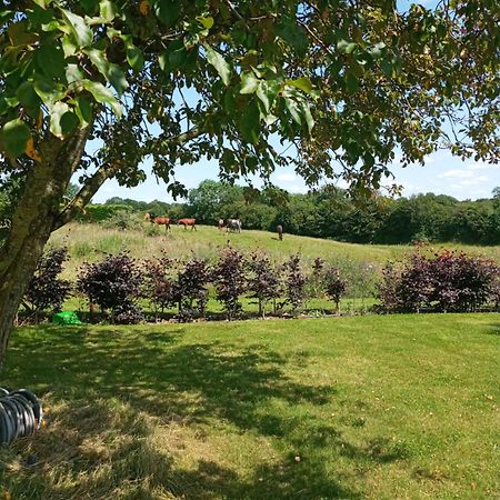 Suzies Self Catering Belmont Apartman Belmont  Szoba fotó